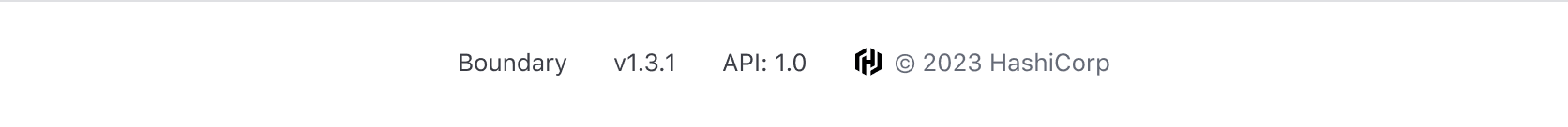 Example of the App Footer with plain text list items